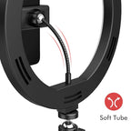 16/26/33cm LED Selfie Light Photography Lights With Tripod Bluetooth Remote Control Dimmable Ring Light For Video Live Fill Lamp - Zevon